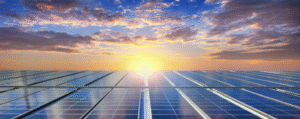 Doenças da Água: Como a Irrigação Solar Garante Água Limpa para o Gado Doenças da Água: Como a Irrigação Solar Garante Água Limpa para o Gado