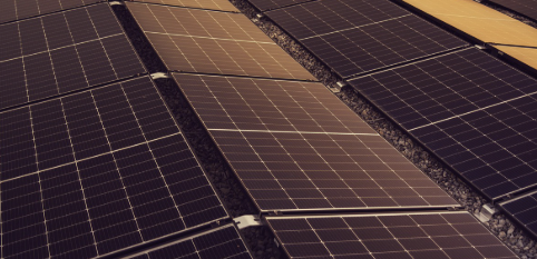 Hortaliças e Fruticultura: Irrigação com Energia Solar Eficiente