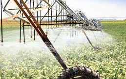 Irrigação Eficiente: Energia Solar Garante Água e Economia no Agronegócio
